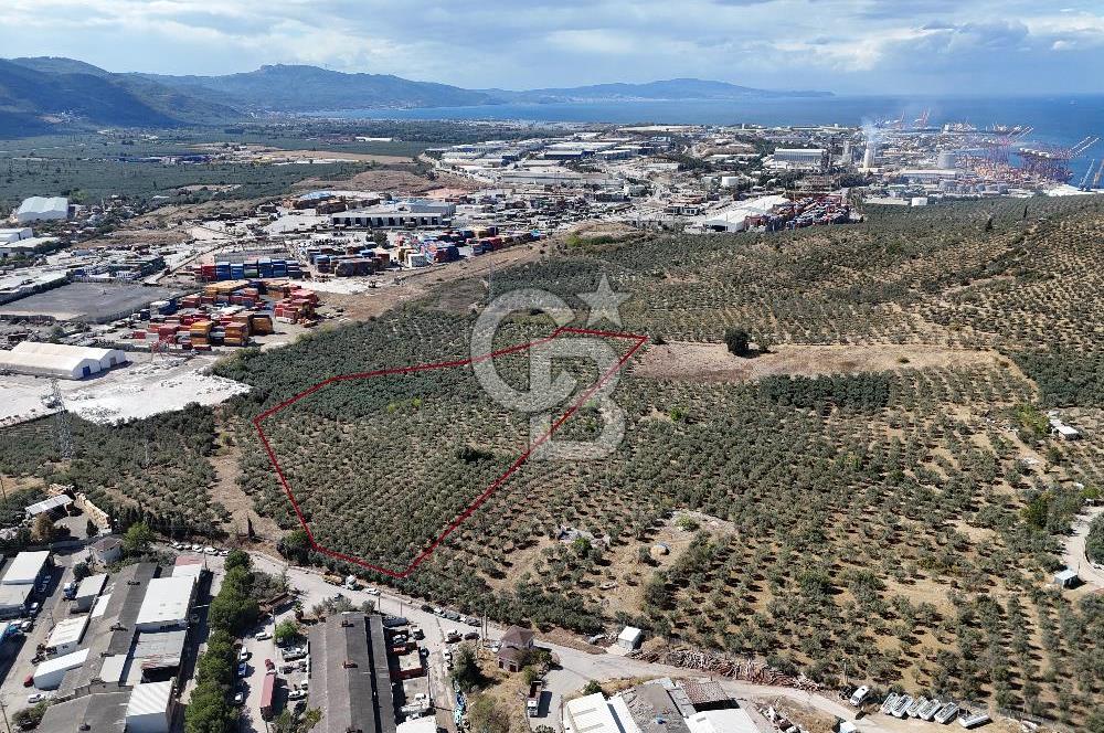 GEMLİK HİSAR SATILIK DEPOLAMA İMARLI EMSALSİZ ARSA. 12.132 M2!