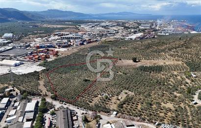 GEMLİK HİSAR SATILIK DEPOLAMA İMARLI EMSALSİZ ARSA. 12.132 M2!