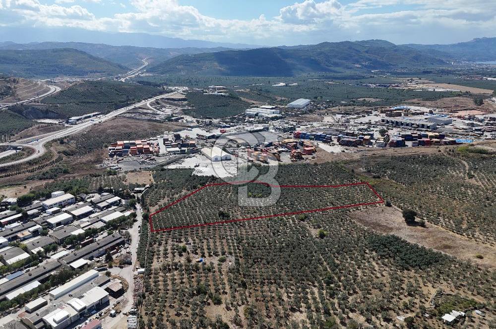 GEMLİK HİSAR SATILIK DEPOLAMA İMARLI EMSALSİZ ARSA. 12.132 M2!