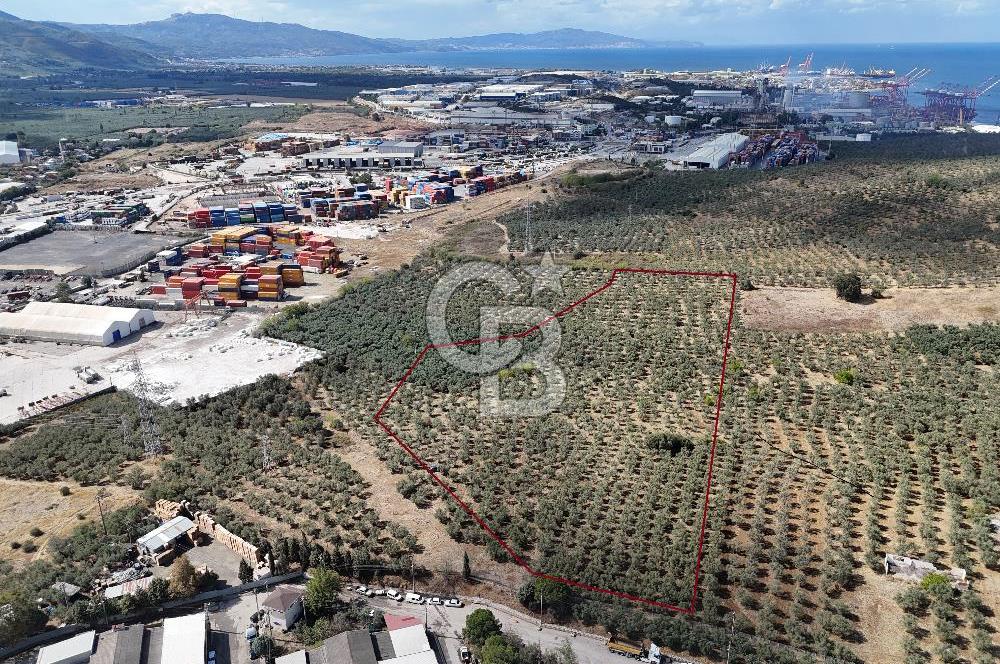 GEMLİK HİSAR SATILIK DEPOLAMA İMARLI EMSALSİZ ARSA. 12.132 M2!