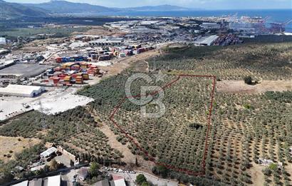 GEMLİK HİSAR SATILIK DEPOLAMA İMARLI EMSALSİZ ARSA. 12.132 M2!