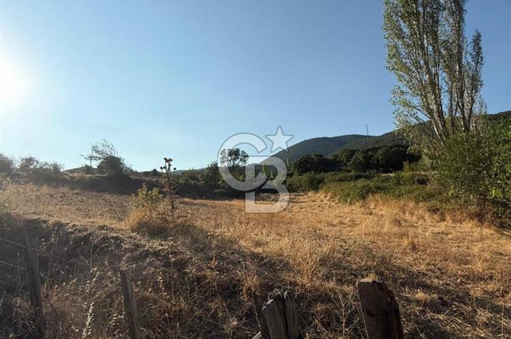 Çanakkale Bayramiç yukarışapçıda Satılık köyiçi imarlı tarla