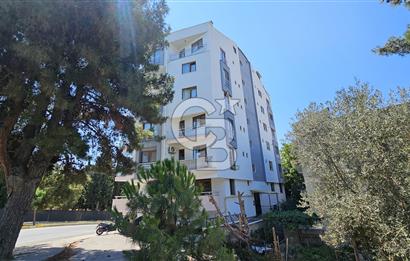 Cevatpaşa mahallesinde satilik 2+1 daire