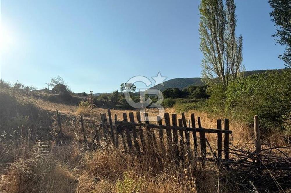 Çanakkale Bayramiç yukarışapçıda Satılık köyiçi imarlı tarla