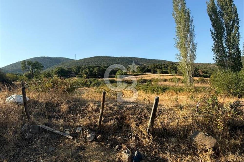 Çanakkale Bayramiç yukarışapçıda Satılık köyiçi imarlı tarla