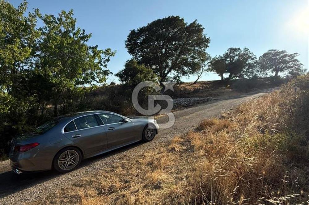 Çanakkale Bayramiç yukarışapçıda Satılık köyiçi imarlı tarla