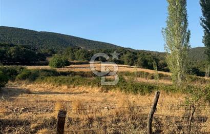 Çanakkale Bayramiç yukarışapçıda Satılık köyiçi imarlı tarla