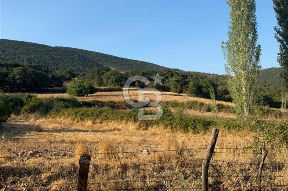 Çanakkale Bayramiç yukarışapçıda Satılık köyiçi imarlı tarla