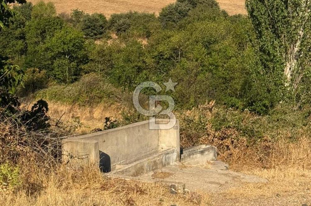 Çanakkale Bayramiç yukarışapçıda Satılık köyiçi imarlı tarla