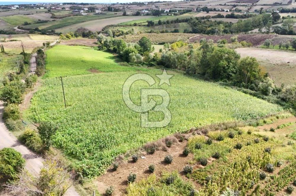 CB PARK'DAN ÇATALÇAM DA BATI ÇEVREYOLUNA YAKIN TARLA
