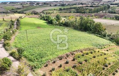 CB PARK'DAN ÇATALÇAM DA BATI ÇEVREYOLUNA YAKIN TARLA