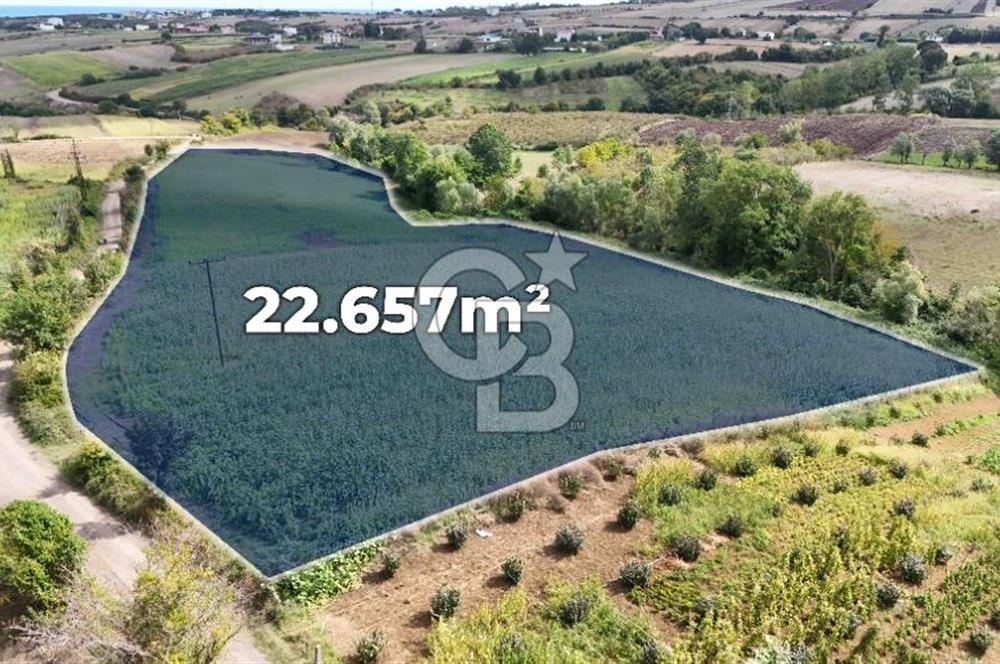 CB PARK'DAN ÇATALÇAM DA BATI ÇEVREYOLUNA YAKIN TARLA