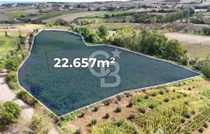 CB PARK'DAN ÇATALÇAM DA BATI ÇEVREYOLUNA YAKIN TARLA