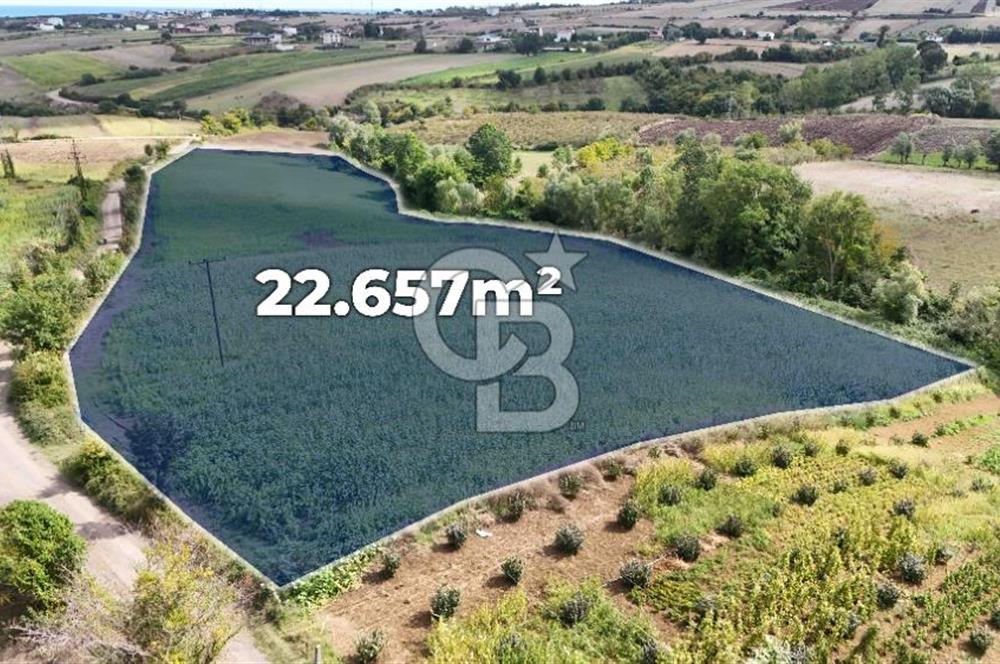 CB PARK'DAN ÇATALÇAM DA BATI ÇEVREYOLUNA YAKIN TARLA