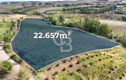 CB PARK'DAN ÇATALÇAM DA BATI ÇEVREYOLUNA YAKIN TARLA