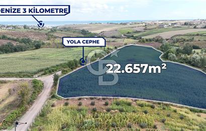 CB PARK'DAN ÇATALÇAM DA BATI ÇEVREYOLUNA YAKIN TARLA