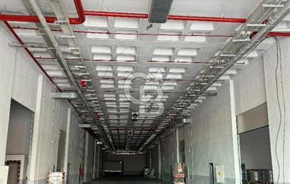 ESENYURT AKÇABURGAZDA KİRALIK 1476 M2 NET H:7.38 ÜRETİM TESİSİ