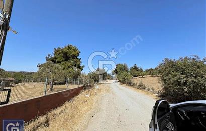 Çanakkale Dümrek köyünde 11 Dönüm tarla