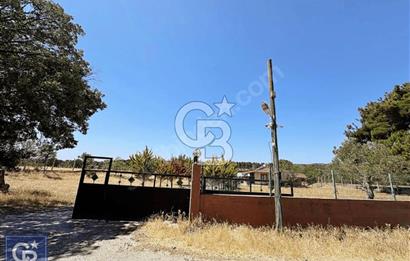 Çanakkale Dümrek köyünde 11 Dönüm tarla