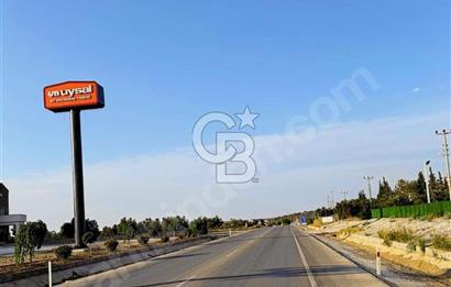 Geyiklinin Dibinde Kupon zeytinlik