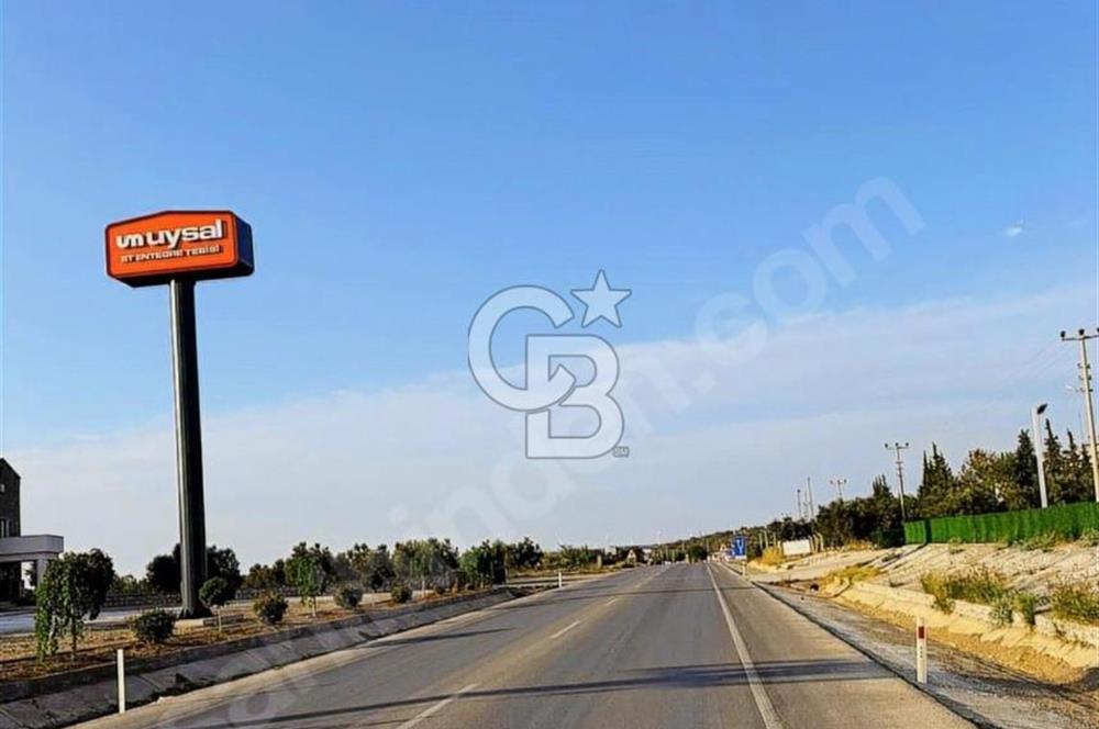 Geyiklinin Dibinde kupon Zeytinlik
