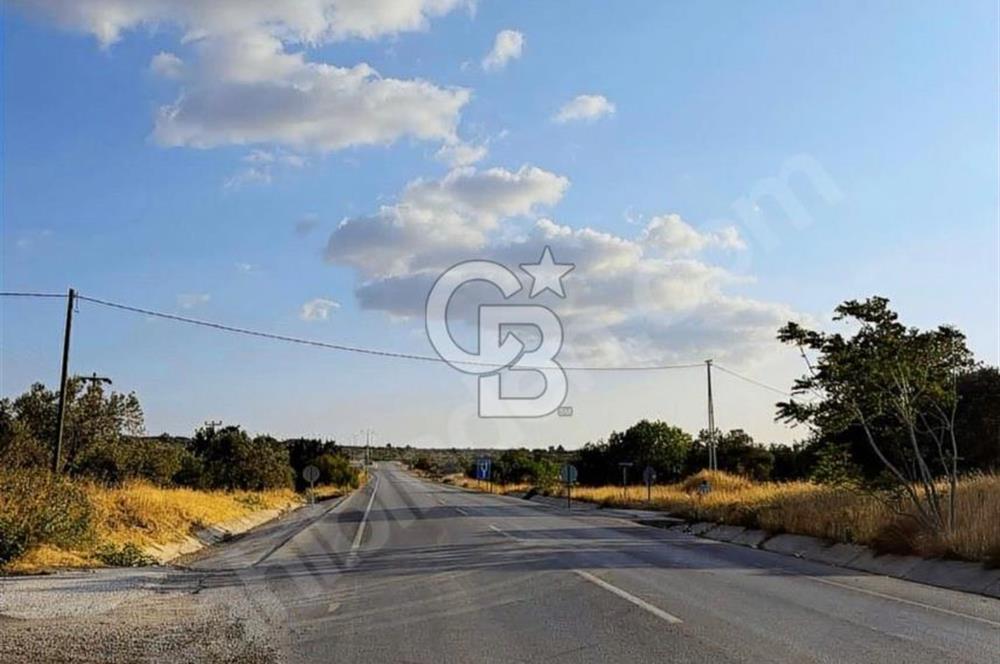 Geyiklinin Dibinde kupon Zeytinlik