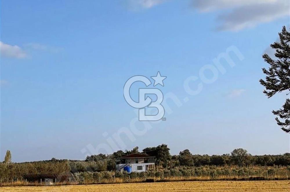 Geyiklinin Dibinde kupon Zeytinlik