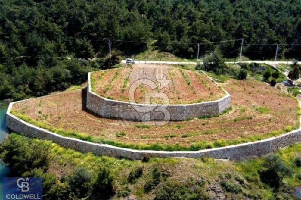 MENDERES CB POYRAZ'DAN MUHTEŞEM MANZARALI ARAZİ