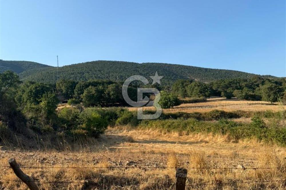 Çanakkale Bayramiç yukarışapçıda Satılık köyiçi imarlı tarla