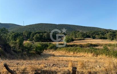 Çanakkale Bayramiç yukarışapçıda Satılık köyiçi imarlı tarla