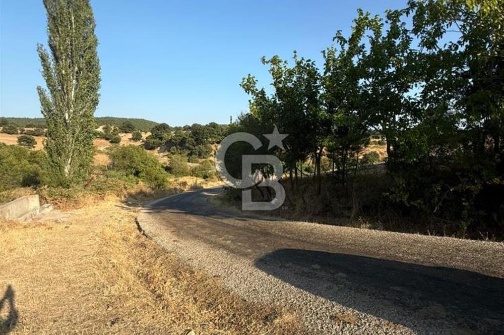 Çanakkale Bayramiç yukarışapçıda Satılık köyiçi imarlı tarla