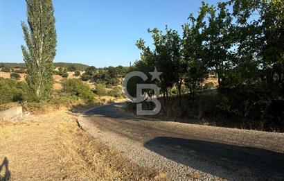 Çanakkale Bayramiç yukarışapçıda Satılık köyiçi imarlı tarla