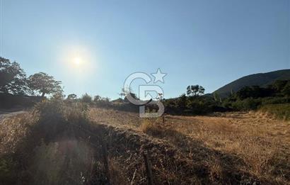 Çanakkale Bayramiç yukarışapçıda Satılık köyiçi imarlı tarla