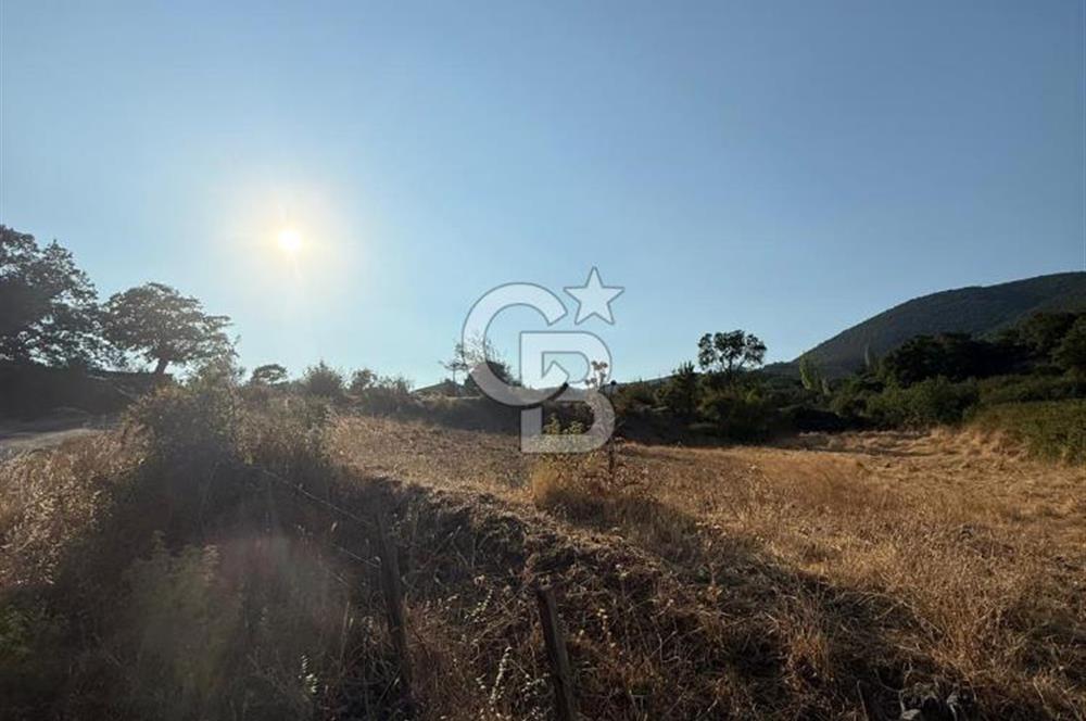 Çanakkale Bayramiç yukarışapçıda Satılık köyiçi imarlı tarla