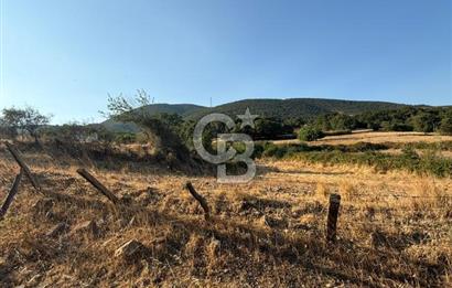 Çanakkale Bayramiç yukarışapçıda Satılık köyiçi imarlı tarla