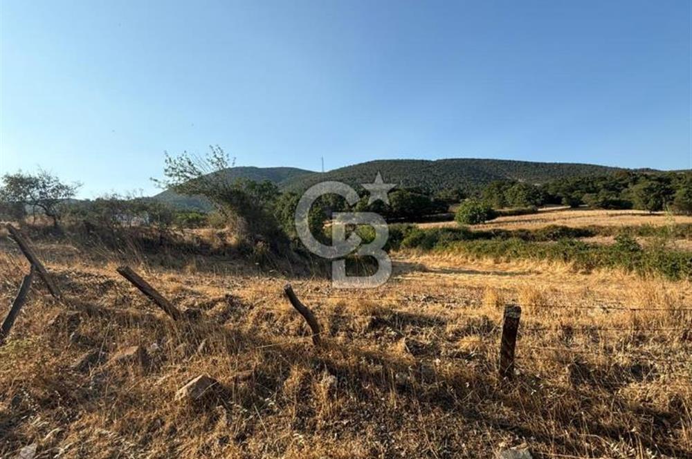 Çanakkale Bayramiç yukarışapçıda Satılık köyiçi imarlı tarla