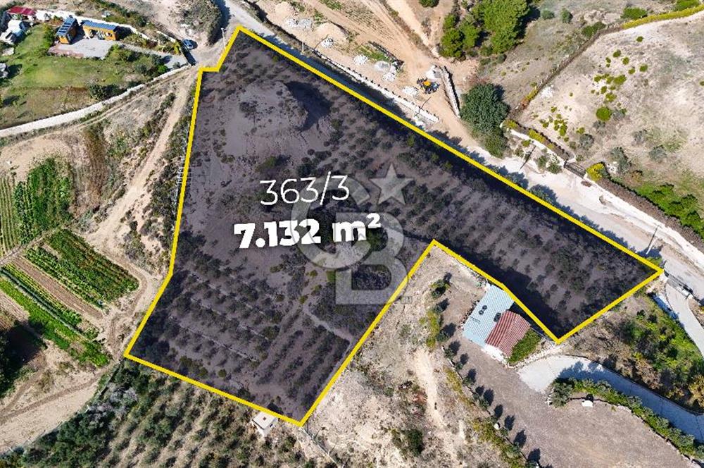 DATÇA KIZLAN'DA DOĞA VE DENİZ MANZARALI 7132m2 SATILIK TARLA