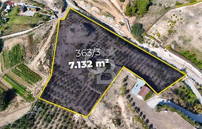 DATÇA KIZLAN'DA DOĞA VE DENİZ MANZARALI 7132m2 SATILIK TARLA
