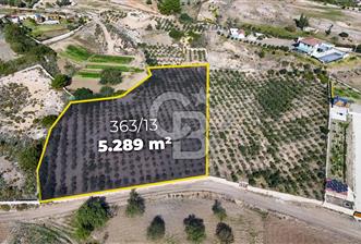 DATÇA KIZLAN'DA DOĞA VE DENİZ MANZARALI 5289m2 SATILIK TARLA