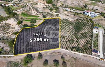 DATÇA KIZLAN'DA DOĞA VE DENİZ MANZARALI 5289m2 SATILIK TARLA