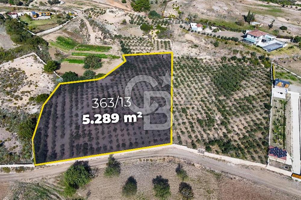 DATÇA KIZLAN'DA DOĞA VE DENİZ MANZARALI 5289m2 SATILIK TARLA