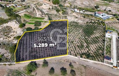 DATÇA KIZLAN'DA DOĞA VE DENİZ MANZARALI 5289m2 SATILIK TARLA