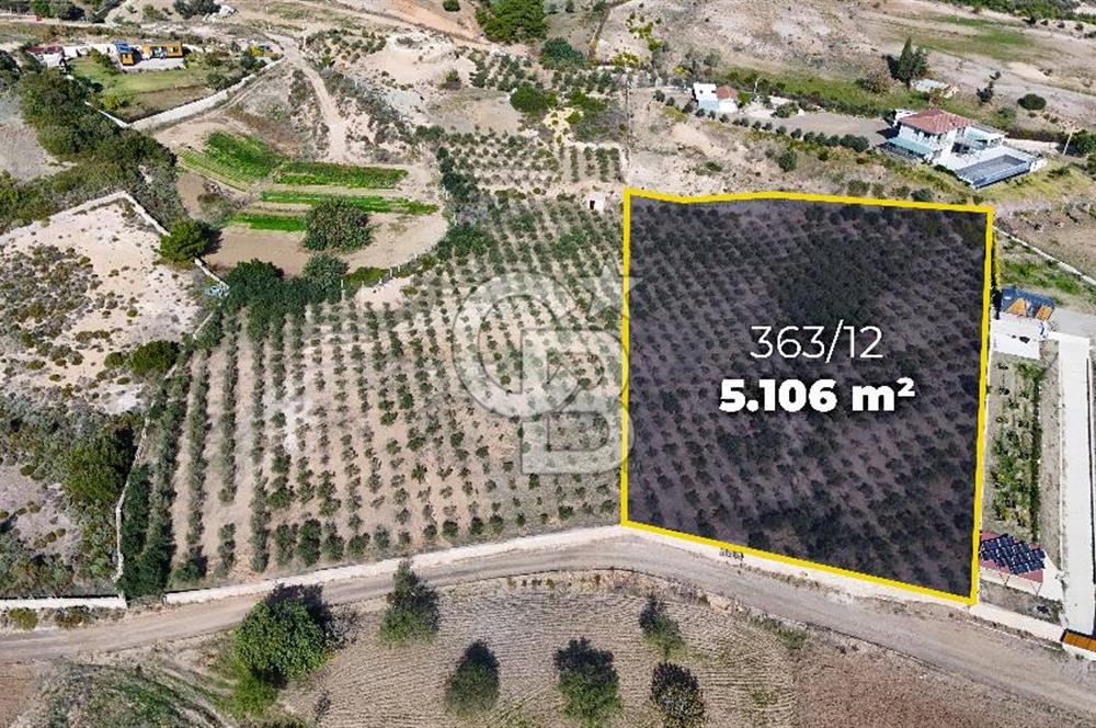 DATÇA KIZLAN'DA DOĞA VE DENİZ MANZARALI 5106m2 SATILIK TARLA