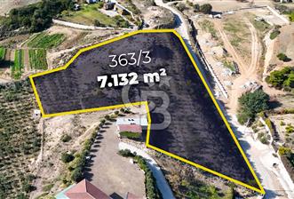DATÇA KIZLAN'DA DOĞA VE DENİZ MANZARALI 7132m2 SATILIK TARLA
