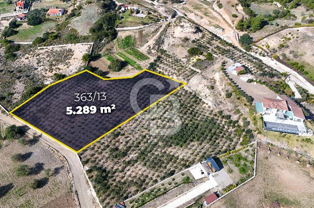 DATÇA KIZLAN'DA DOĞA VE DENİZ MANZARALI 5289m2 SATILIK TARLA