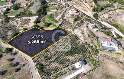 DATÇA KIZLAN'DA DOĞA VE DENİZ MANZARALI 5289m2 SATILIK TARLA