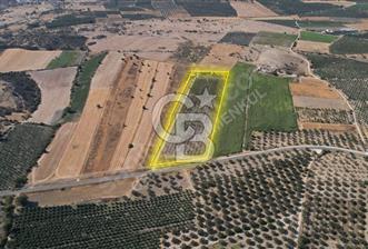 ÇANDARLIDA 34.828 m² TARLA - YATIRIM FIRSATI ANA YOLA CEPHE