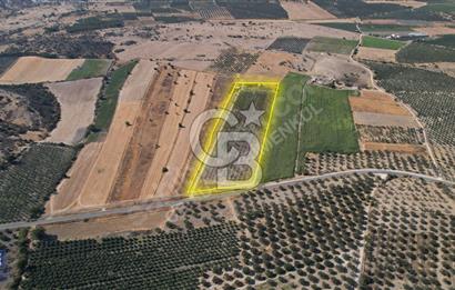ÇANDARLIDA 34.828 m² TARLA - YATIRIM FIRSATI ANA YOLA CEPHE