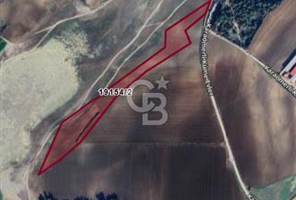 Adana Karaömerli Göle Sıfır 26.900 m² Tek Tapu Yatırım Emsalsiz