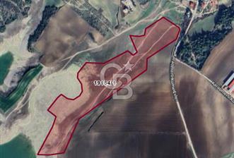 Adana Karaömerli Göle Sıfır 55.139 m² Yatırımlık Emsalsiz